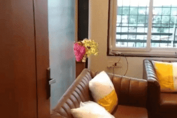 1 BHK furnished flat for rent in Krishna Apartment north east facing bachelor friendly apartment with parking