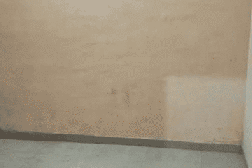 2 BHK unfurnished ground floor house for rent in Shivam Homes Sarkanda Bilaspur safe colony near Dreamland School Arvind Nagar west facing