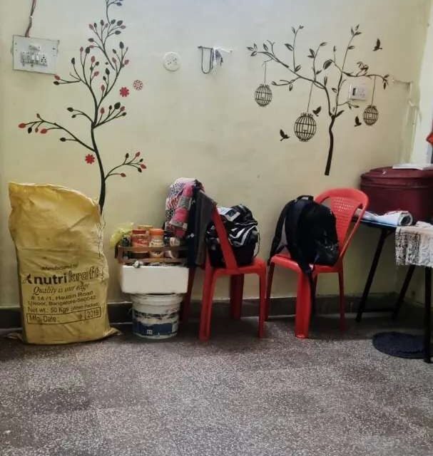 Single room for female flatmate in VIP Colony Geetanjali Nagar Bilaspur with attached balcony private bathroom shared kitchen and hall in semi-furnished 2BHK apartment