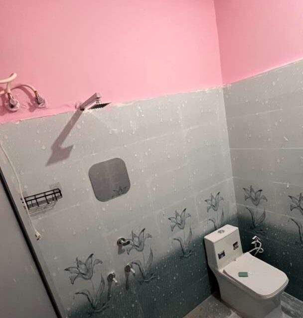 1 BHK unfurnished flat for rent in Torwa Bilaspur with parking