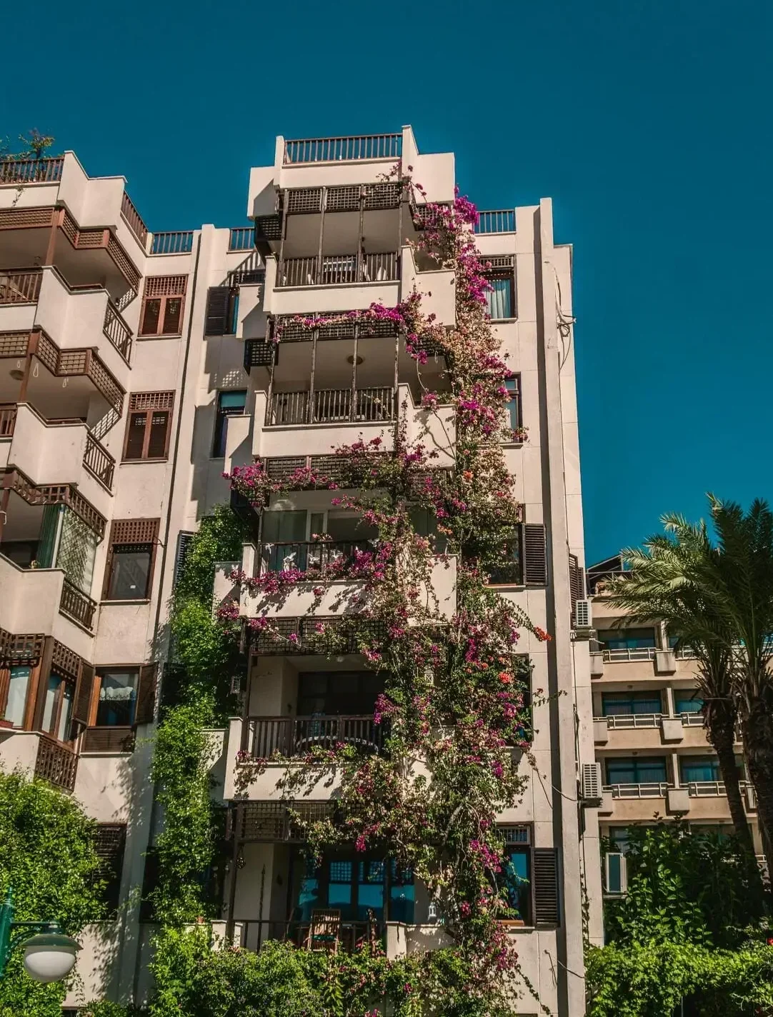 Find <span style="color: Aqua;">Rentals</span> 
Near you in 
<span style="color: orange; font-size: 54px;">Bilaspur & Raipur</span>