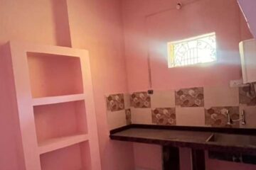 freshly built 1 bhk independent floor for rent in Torwa Bilaspur with parking 24x7 water supply separate electricity meter and immediate possession suitable for families professionals and bachelors